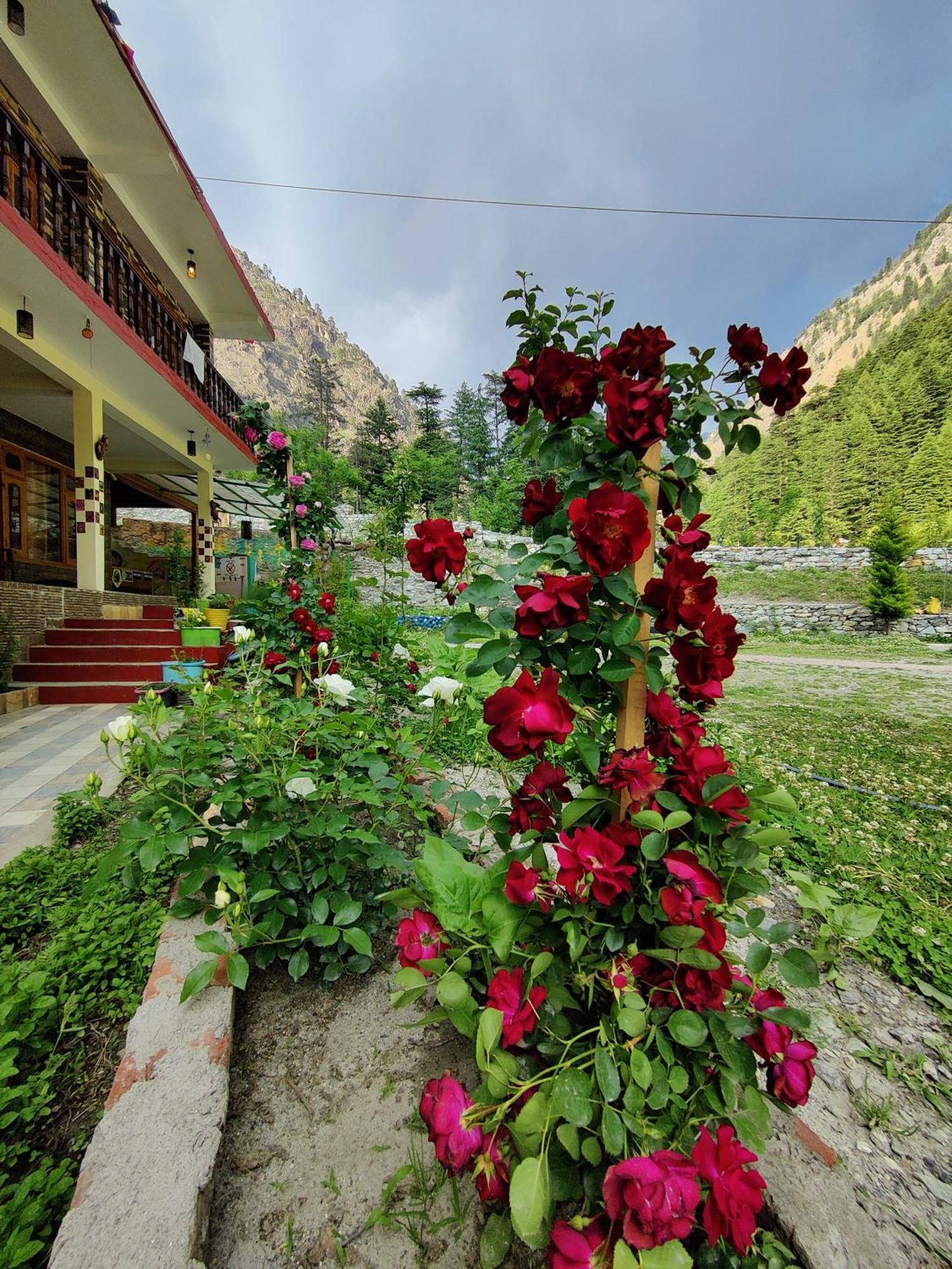 Flipsyde Retreat Kasol Exterior foto