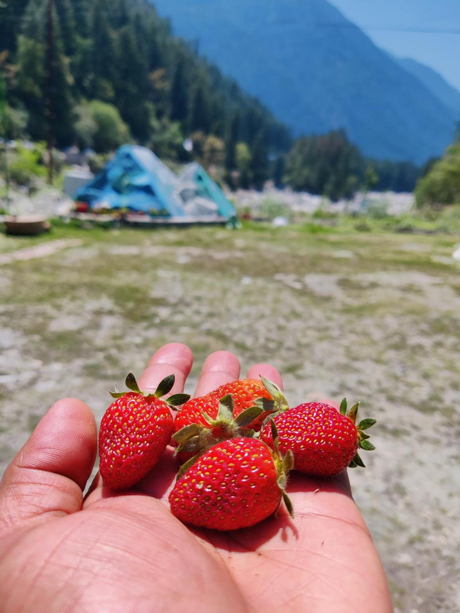 Flipsyde Retreat Kasol Exterior foto