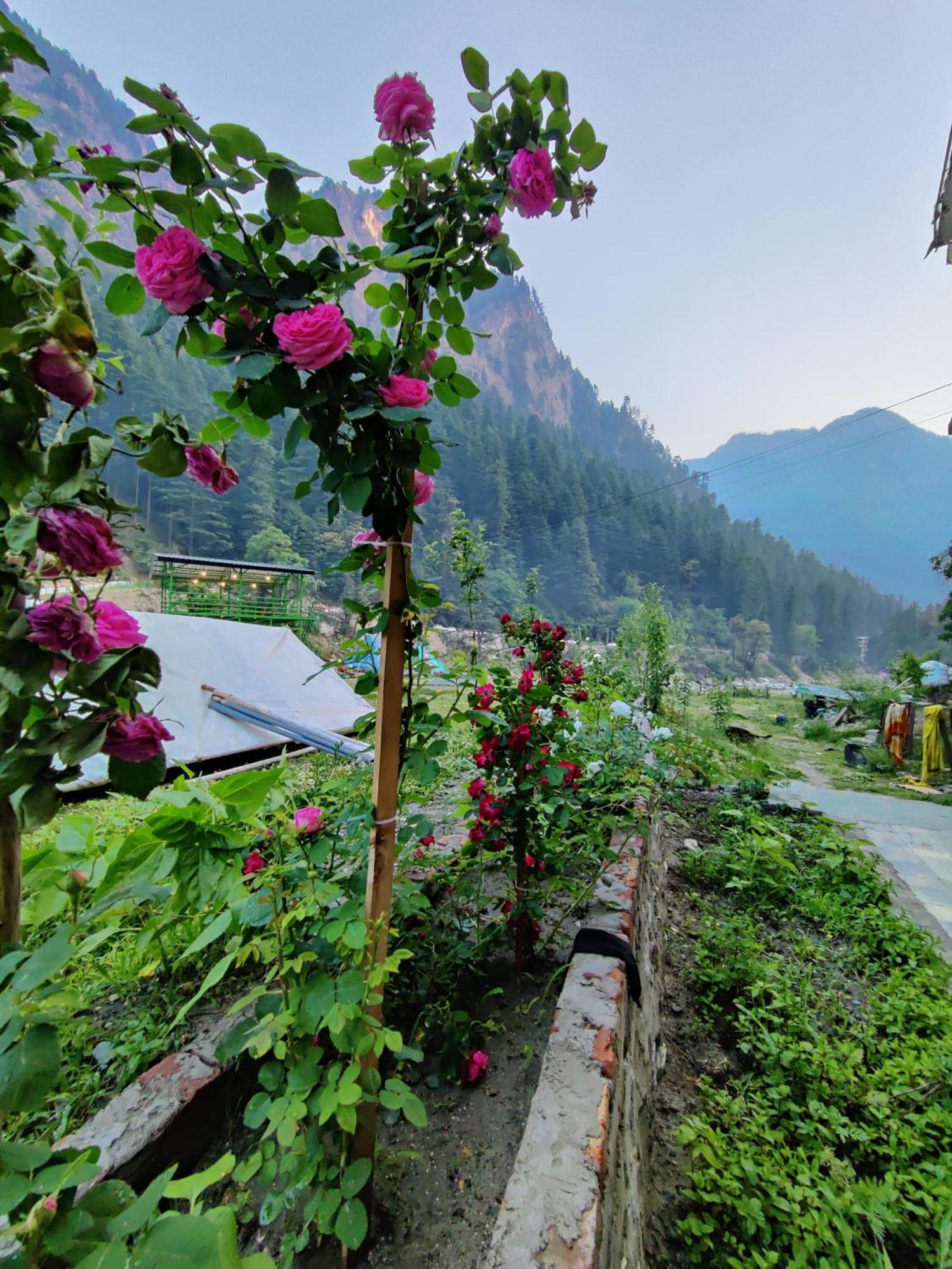 Flipsyde Retreat Kasol Exterior foto